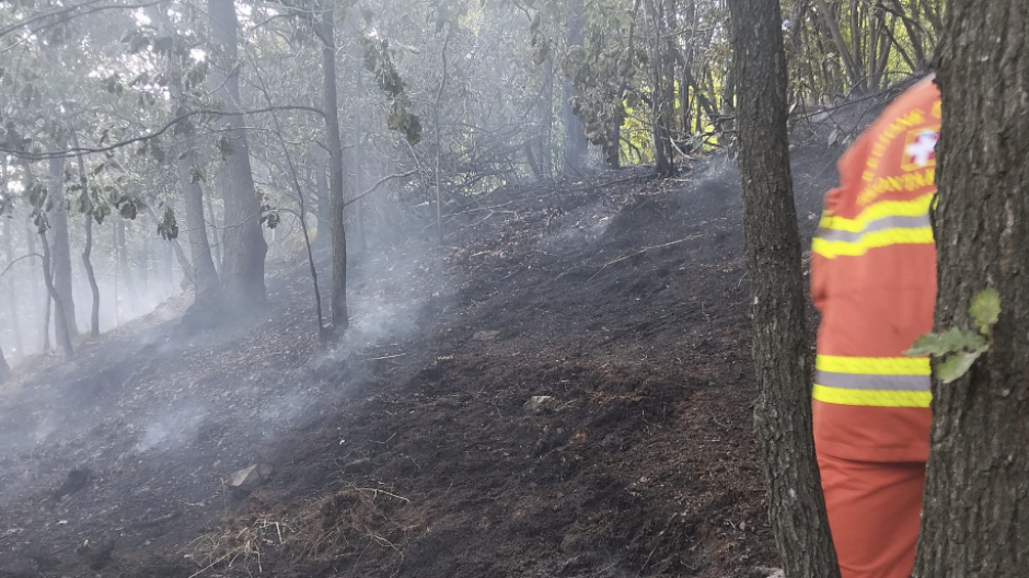 Incendio ad Agrano, interviene anche l'elicottero regionale 